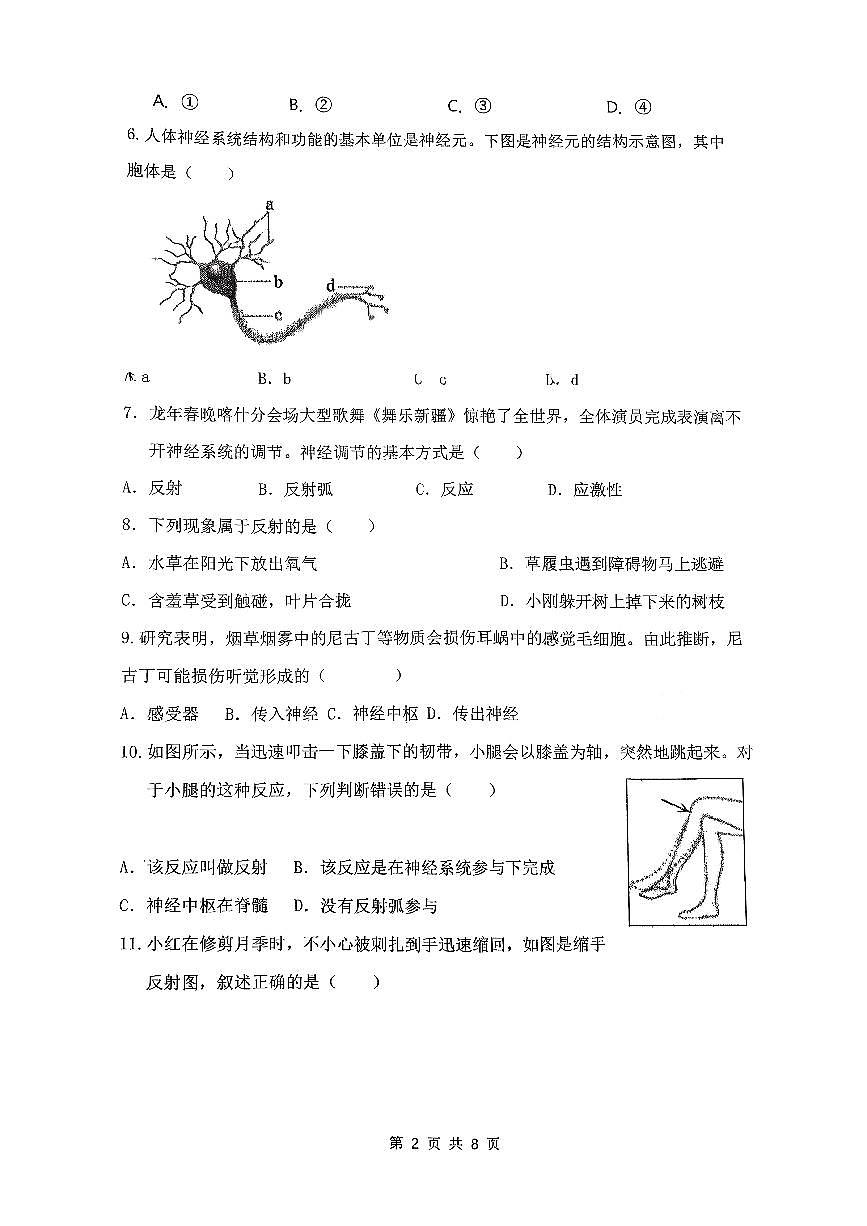 河北省邯郸市第二十五中学2025-2026学年八年级上学期第一次月考生物试卷(无答案)第2页