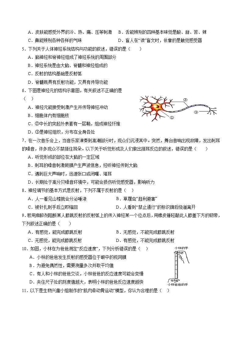 八年级生物上学期期中模拟卷02(新教材人教版)(考试版A4)第2页