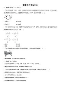 期中综合测试(二) 2025-2026学年人教版八年级生物上册