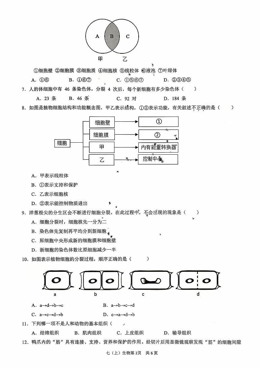 江西省吉安市2025-2026学年第一学期第一次阶段练习七年级生物试题及答案 2025-2026学年第一学期第一次阶段练习七年级生物试题卷第2页