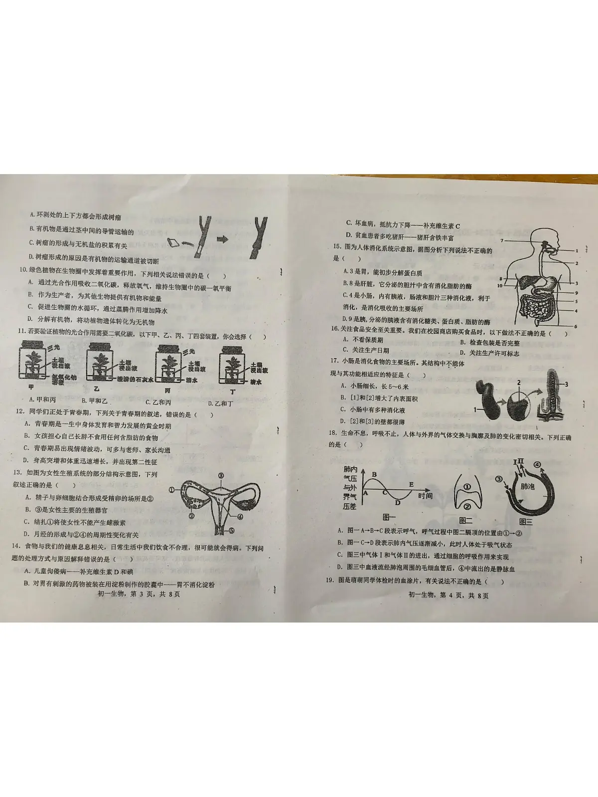 河北省邯郸市复兴区第十中学2024-2025学年七年级下学期7月期末考试生物试题、答案及解析 河北省邯郸市复兴区第十中学2024-2025学年七年级下学期7月期末考试生物试题第2页