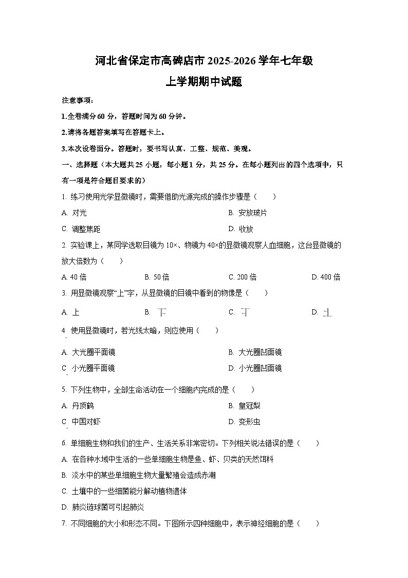 河北省保定市高碑店市2025-2026学年七年级上学期期中生物试卷(学生版)第1页