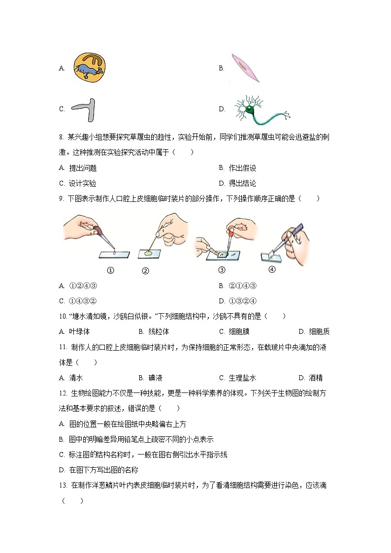 河北省保定市高碑店市2025-2026学年七年级上学期期中生物试卷(学生版)第2页