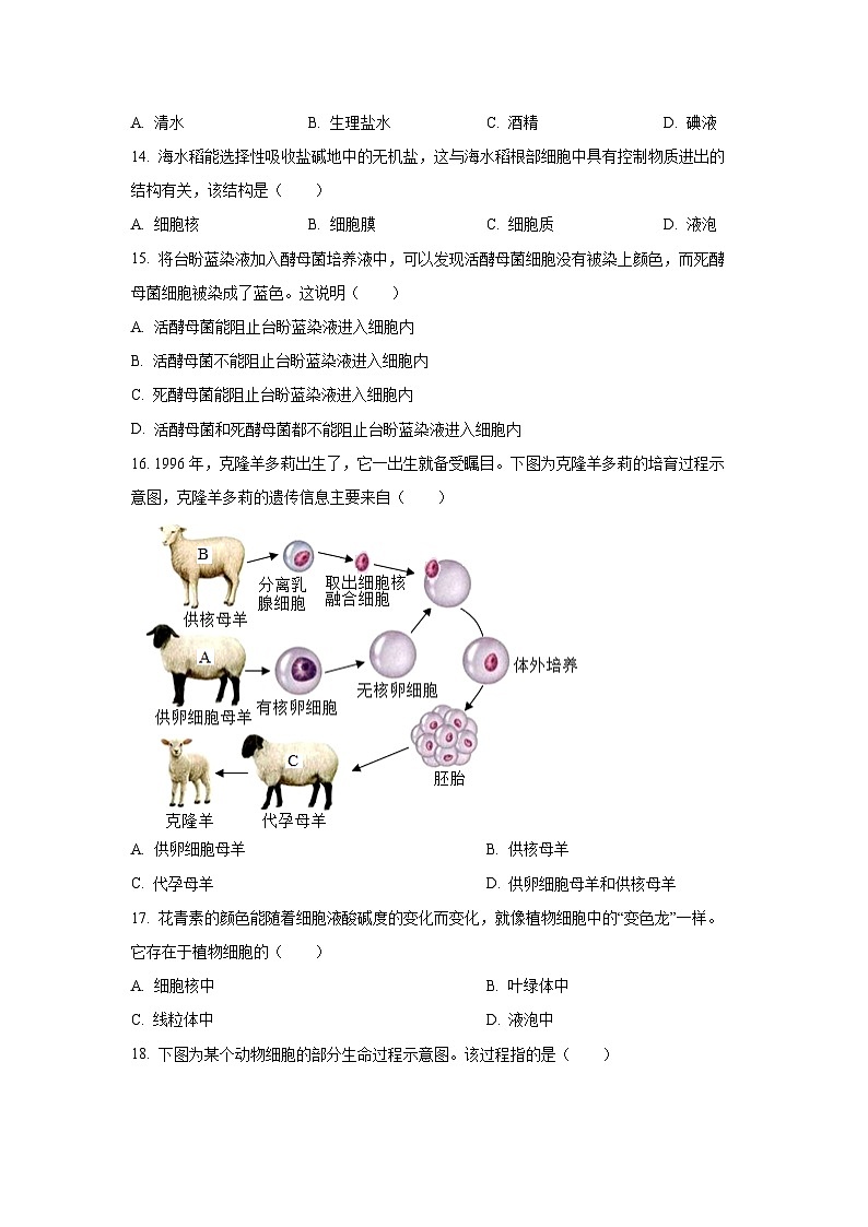 河北省保定市高碑店市2025-2026学年七年级上学期期中生物试卷(学生版)第3页