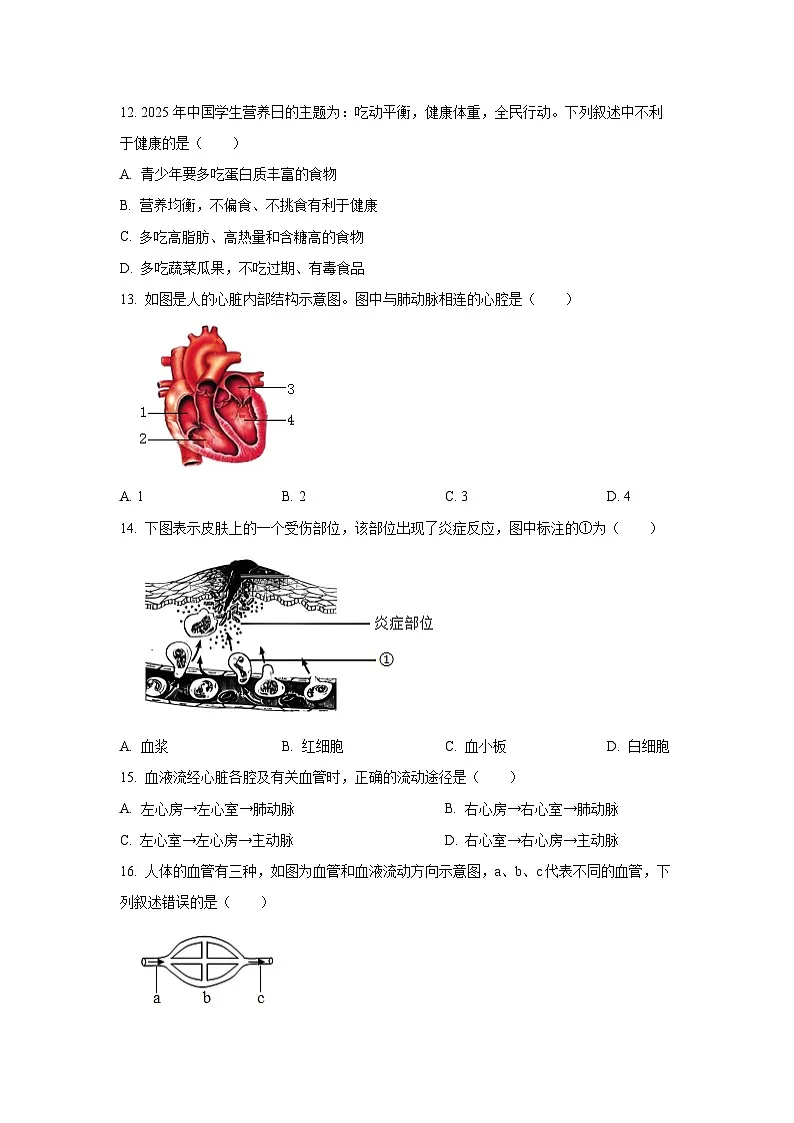 河南省平顶山市鲁山县第七教研区2025-2026学年八年级上学期10月月考生物试卷(学生版)第3页