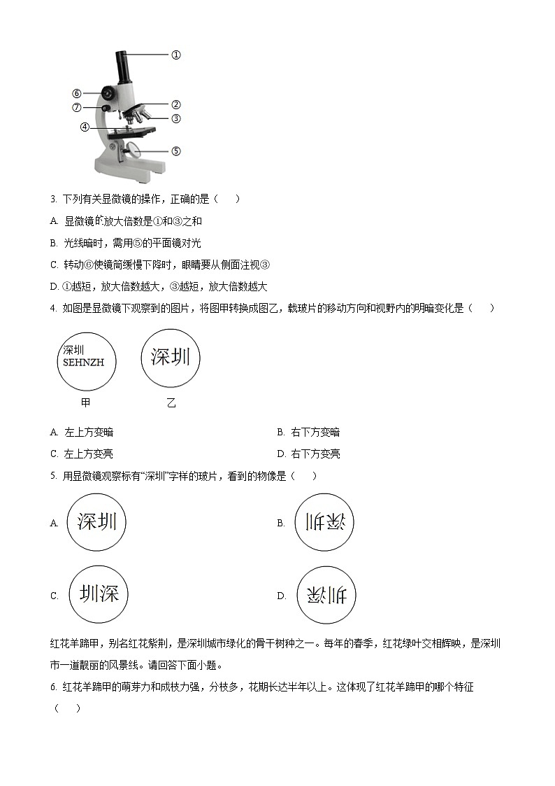 精品解析:广东省深圳高级中学北校区等多校2024-2025学年七年级上学期期中生物学试题(原卷版)第2页