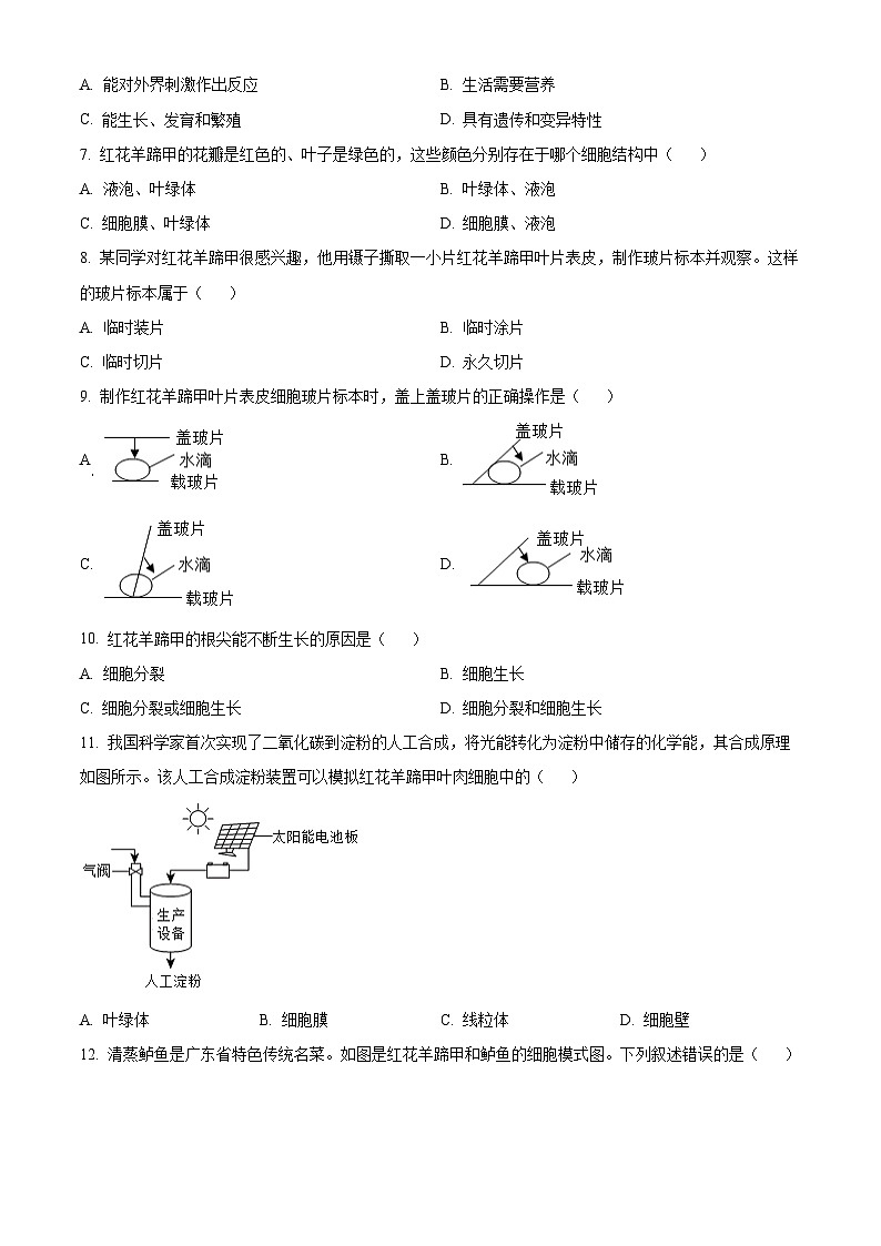 精品解析:广东省深圳高级中学北校区等多校2024-2025学年七年级上学期期中生物学试题(原卷版)第3页