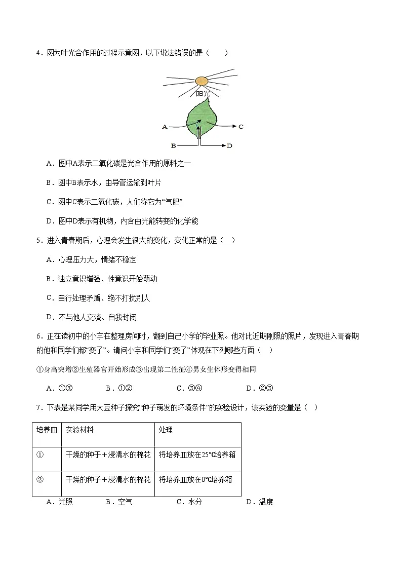 七年级生物期中模拟卷(考试版)【测试范围:人教版2024七下第3单元~第4单元第1章】(深圳专用)第2页
