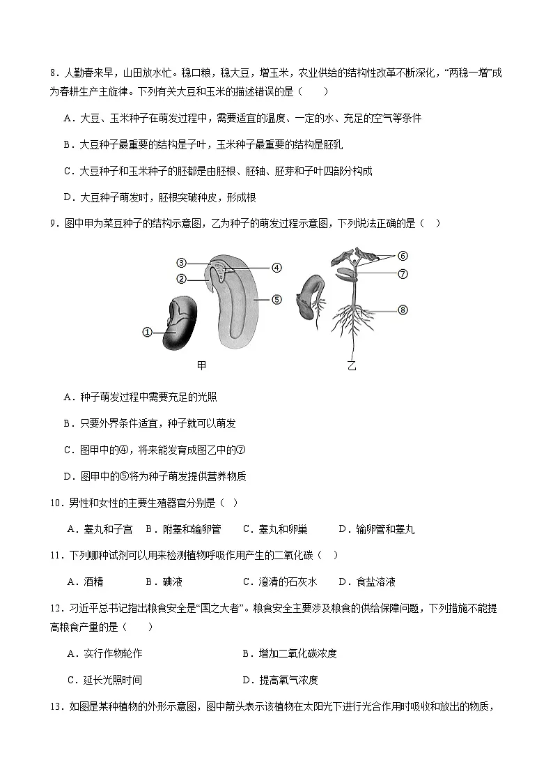 七年级生物期中模拟卷(考试版)【测试范围:人教版2024七下第3单元~第4单元第1章】(深圳专用)第3页