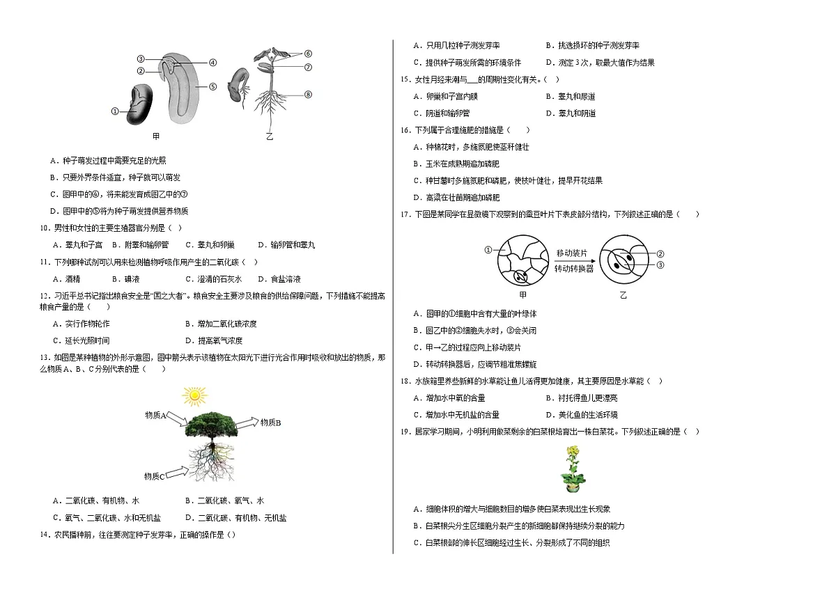 七年级生物期中模拟卷(考试版A3)【测试范围:人教版2024七下第3单元~第4单元第1章】(深圳专用)第2页