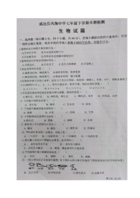 四川省内江市威远县凤翔中学2024-2025学年七年级下学期期中考试生物试题