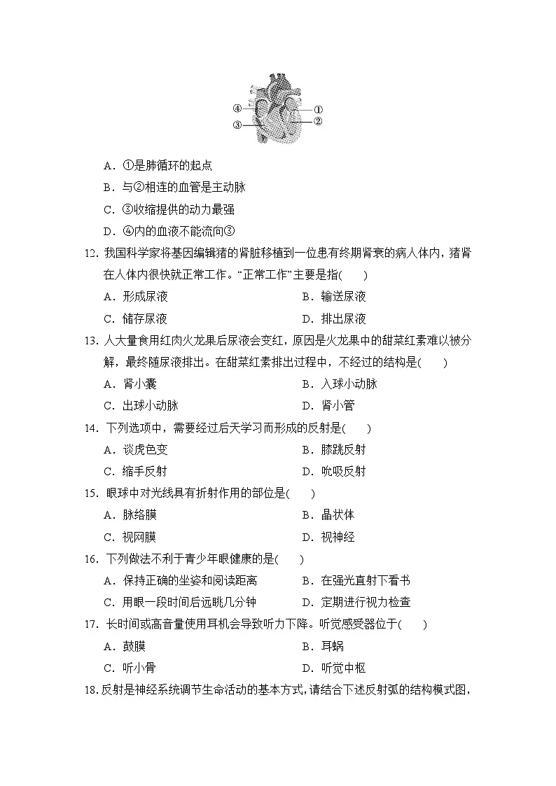 阶段测试卷二(主题五)练习(含答案) 2026年中考生物一轮复习(福建版)第3页
