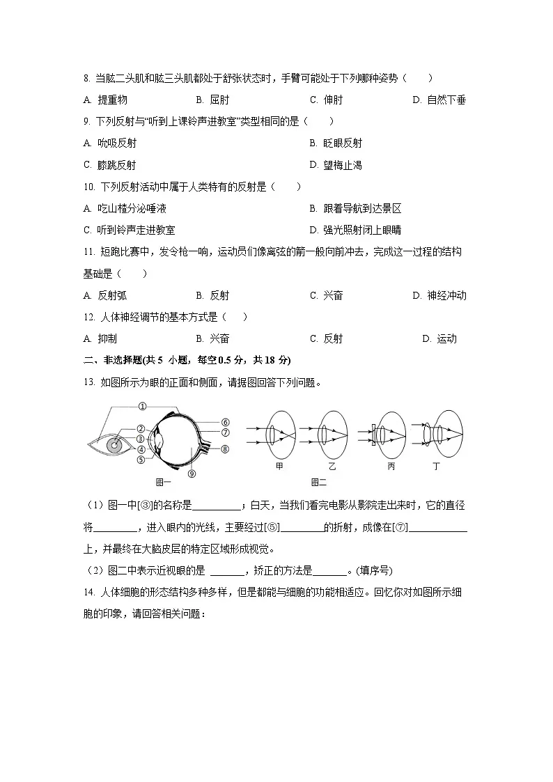 2025~2026学年辽宁省铁岭市开原市八年级(上)10月月考生物试题(学生版)第2页