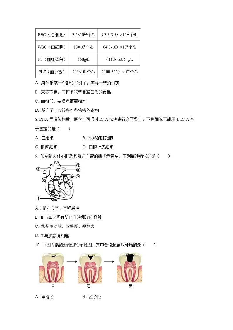 2025~2026学年辽宁省鞍山市岫岩县多校八年级(上)10月月考生物试题(学生版)第2页