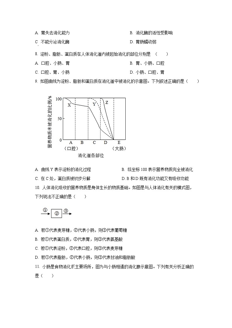 2025~2026学年江苏省徐州市八年级(上)第一次月考生物试题(学生版)第3页