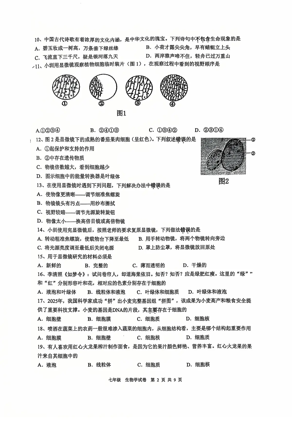 广东省深圳实验学校中学部2025-2026学年七年级上学期期中生物试卷第2页