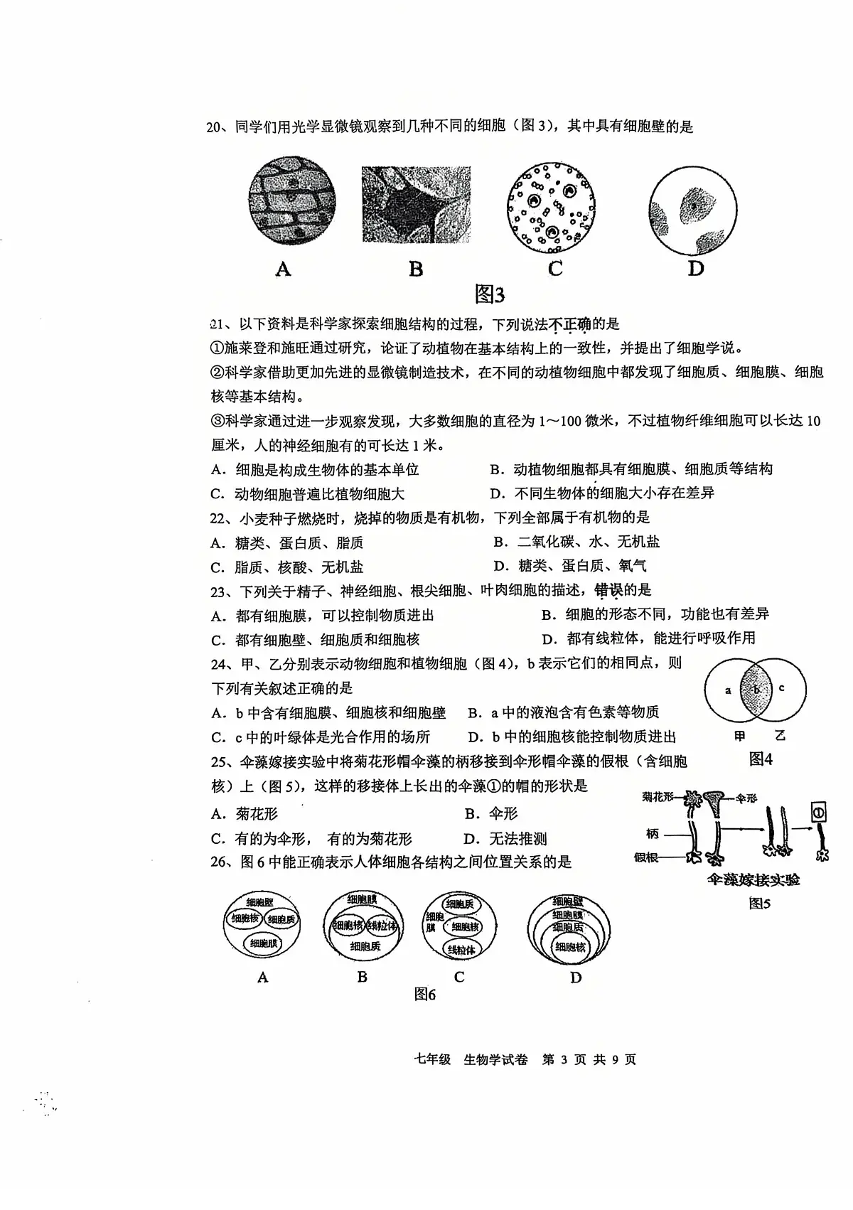 广东省深圳实验学校中学部2025-2026学年七年级上学期期中生物试卷第3页