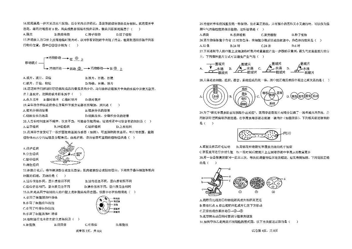 海南省澄迈县2025-2026学年七年级上学期期中考试生物试题第2页