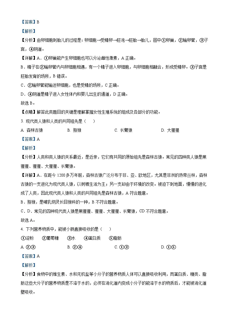 精品解析:广东省深圳市高级中学2021-2022学年七年级下学期期末生物试题(解析版)第2页