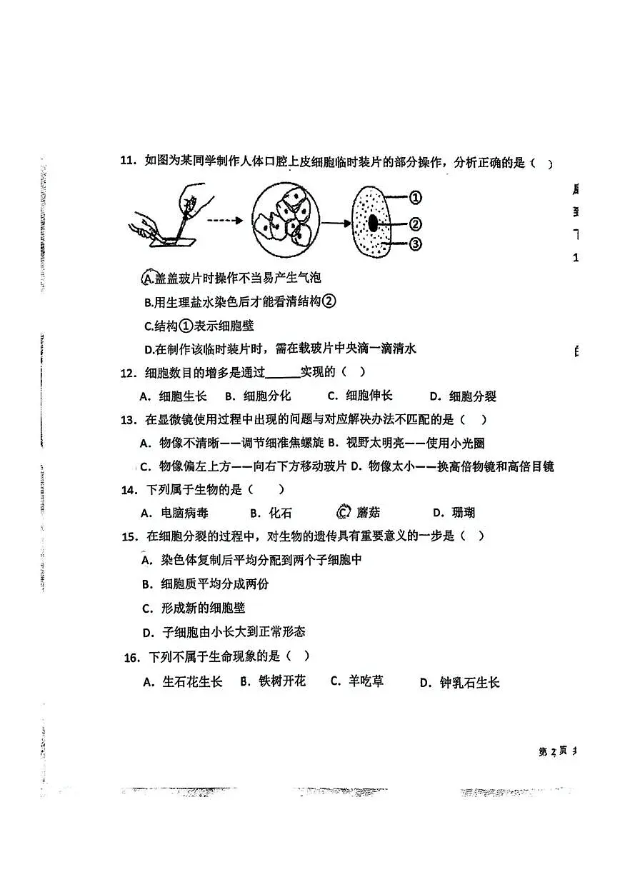 甘肃省平凉市静宁县阿阳实验学校2025-2026学年七年级上学期第一次质量检测生物试卷(月考)第3页