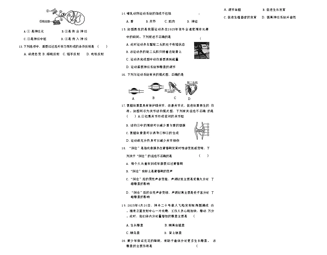 吉林省松原市宁江区风华中学2025—2026学年度上学期第一次月考试卷 八年级生物试卷第2页