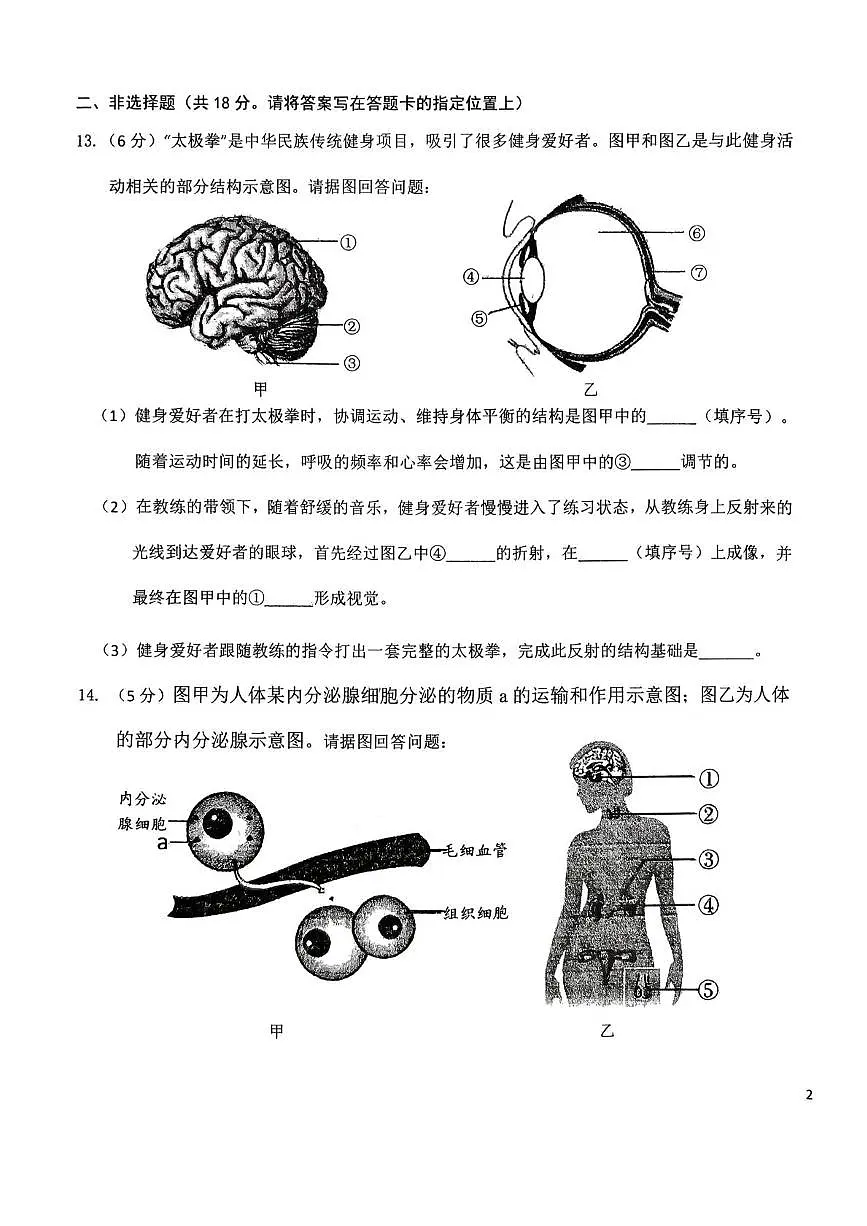 辽宁省丹东市九校联考2025-2026学年八年级上学期11月期中考试生物试题第3页