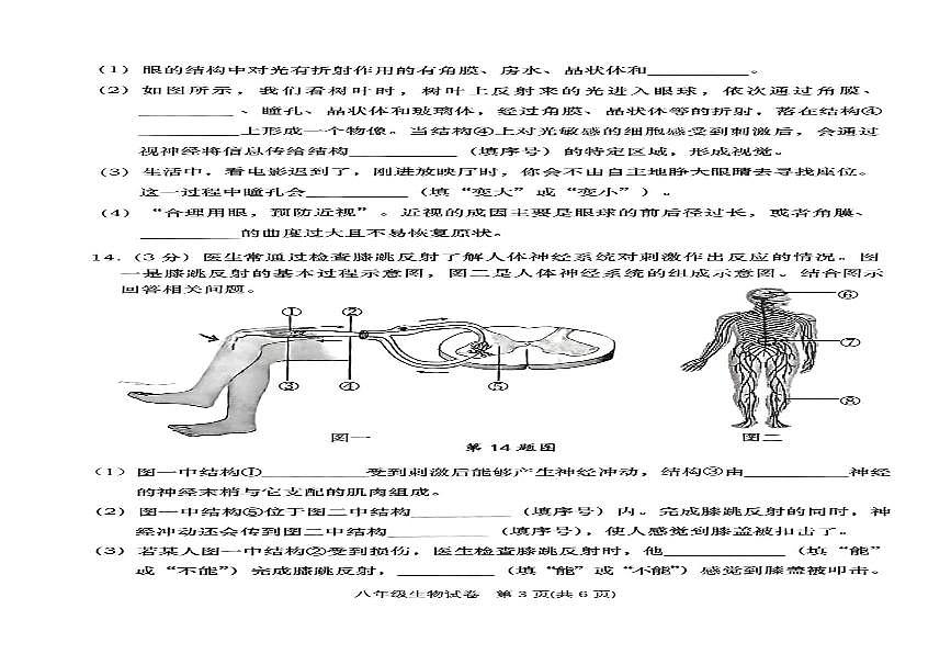 辽宁省大连市甘井子区2025-2026学年八年级上学期期中测试生物试卷第2页