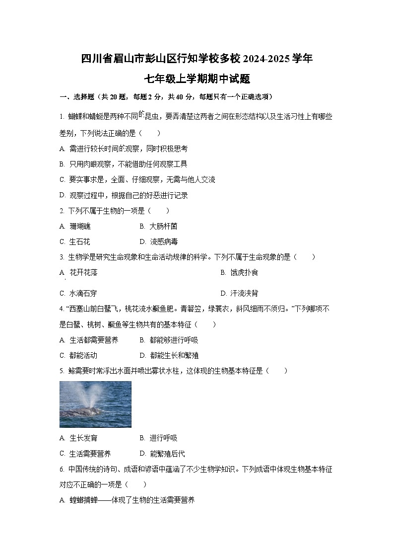 2024~2025学年四川省眉山市彭山区行知学校多校七年级(上)期中生物试题(学生版)第1页