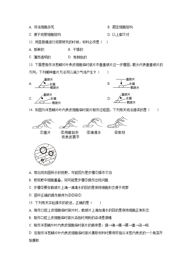 2024~2025学年四川省眉山市彭山区行知学校多校七年级(上)期中生物试题(学生版)第3页