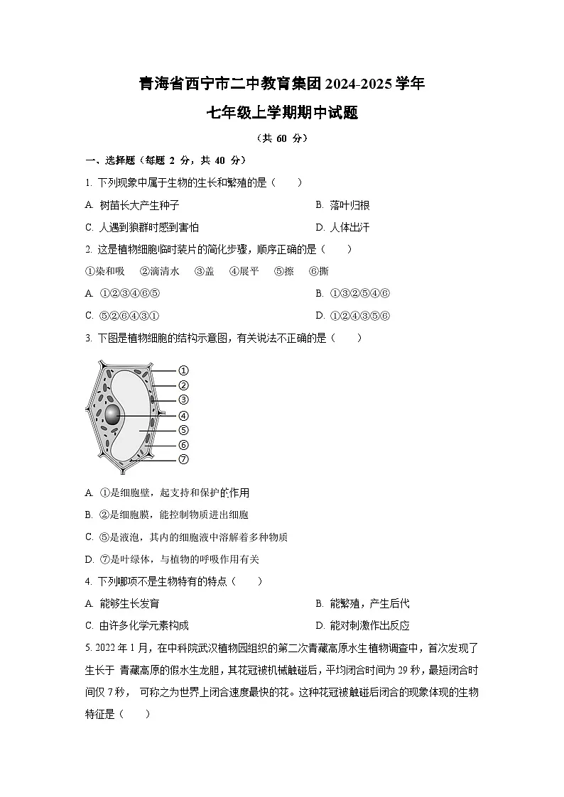 2024~2025学年青海省西宁市二中教育集团七年级(上)期中生物试题(学生版)第1页