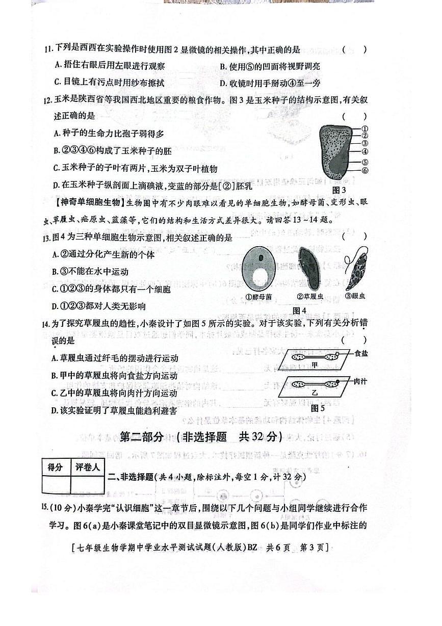 陕西省咸阳市部分学校2025-2026学年七年级上学期期中考试生物试卷第3页