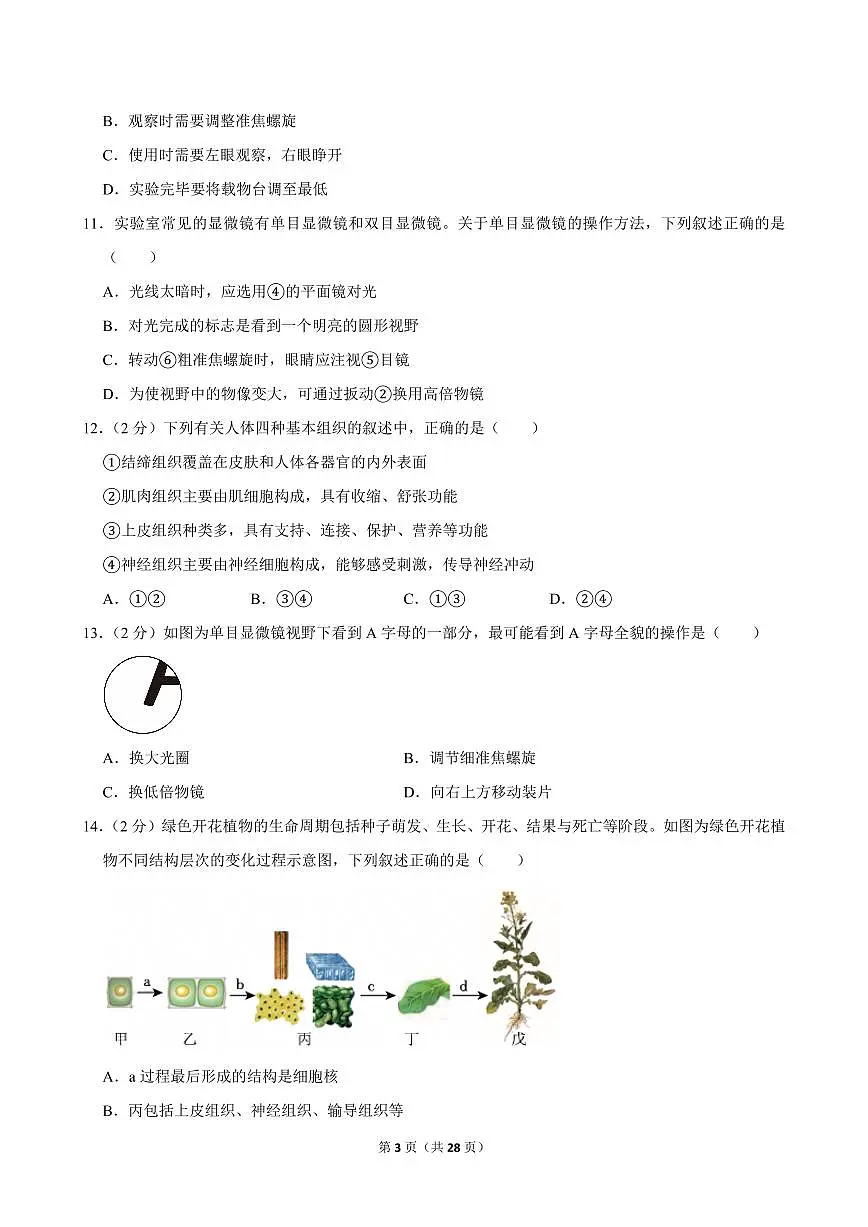 2024-2025学年山西省大同市新荣区两校联考七年级(上)期中生物试卷第3页