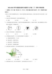2024-2025学年福建省福州市福清市七年级（下）期中生物试卷