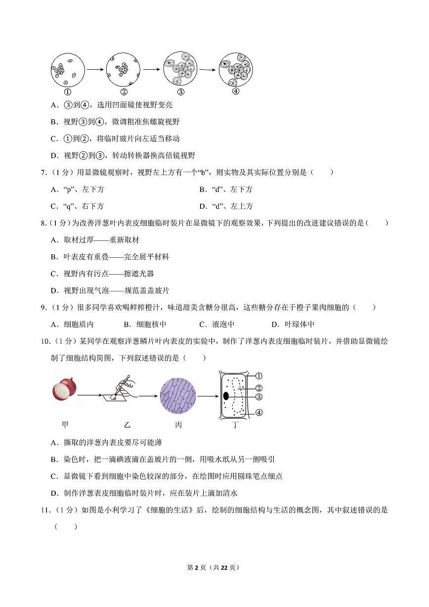 2024-2025学年辽宁省丹东市多校联考七年级(上)期中生物试卷第2页