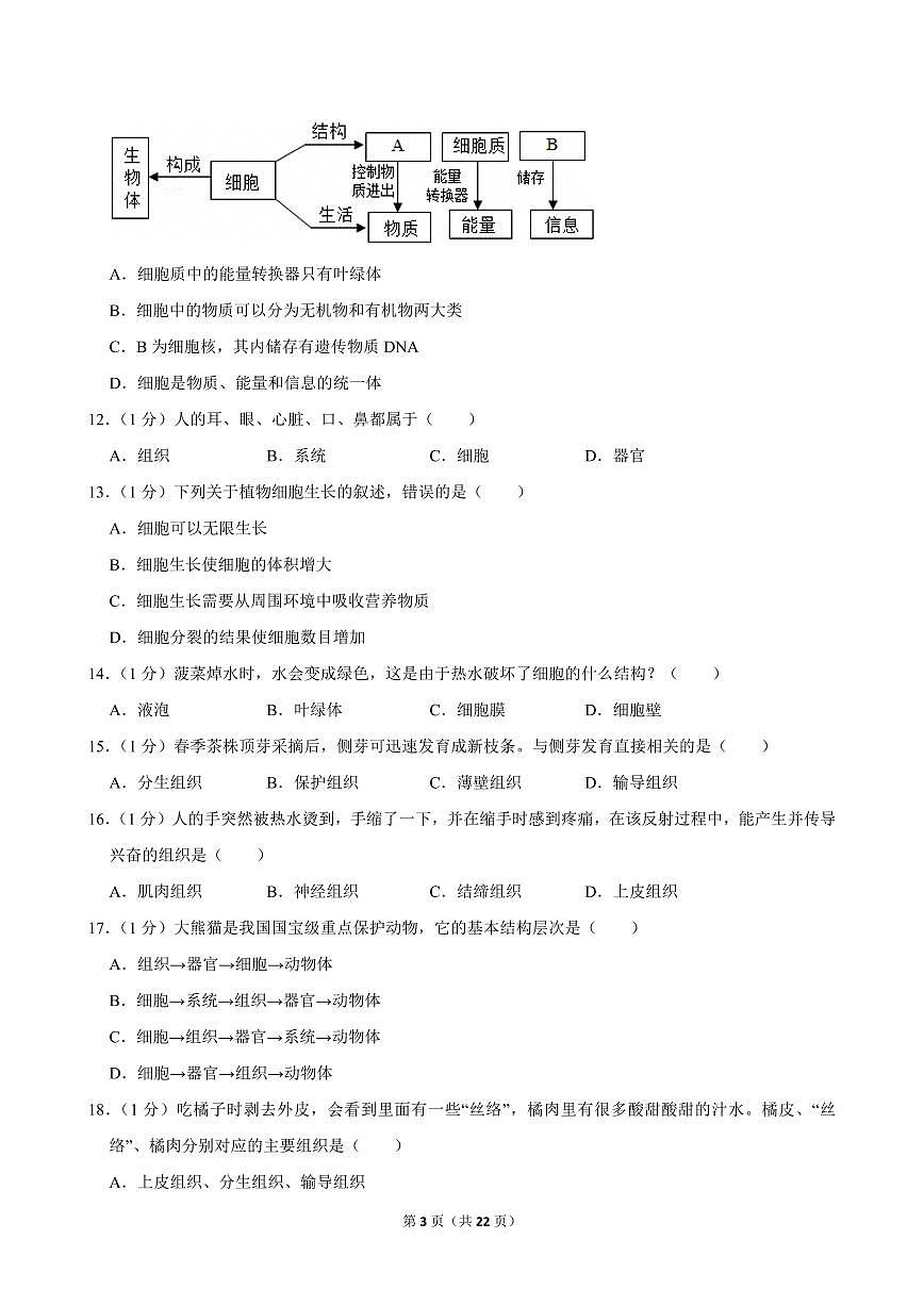 2024-2025学年辽宁省丹东市多校联考七年级(上)期中生物试卷第3页