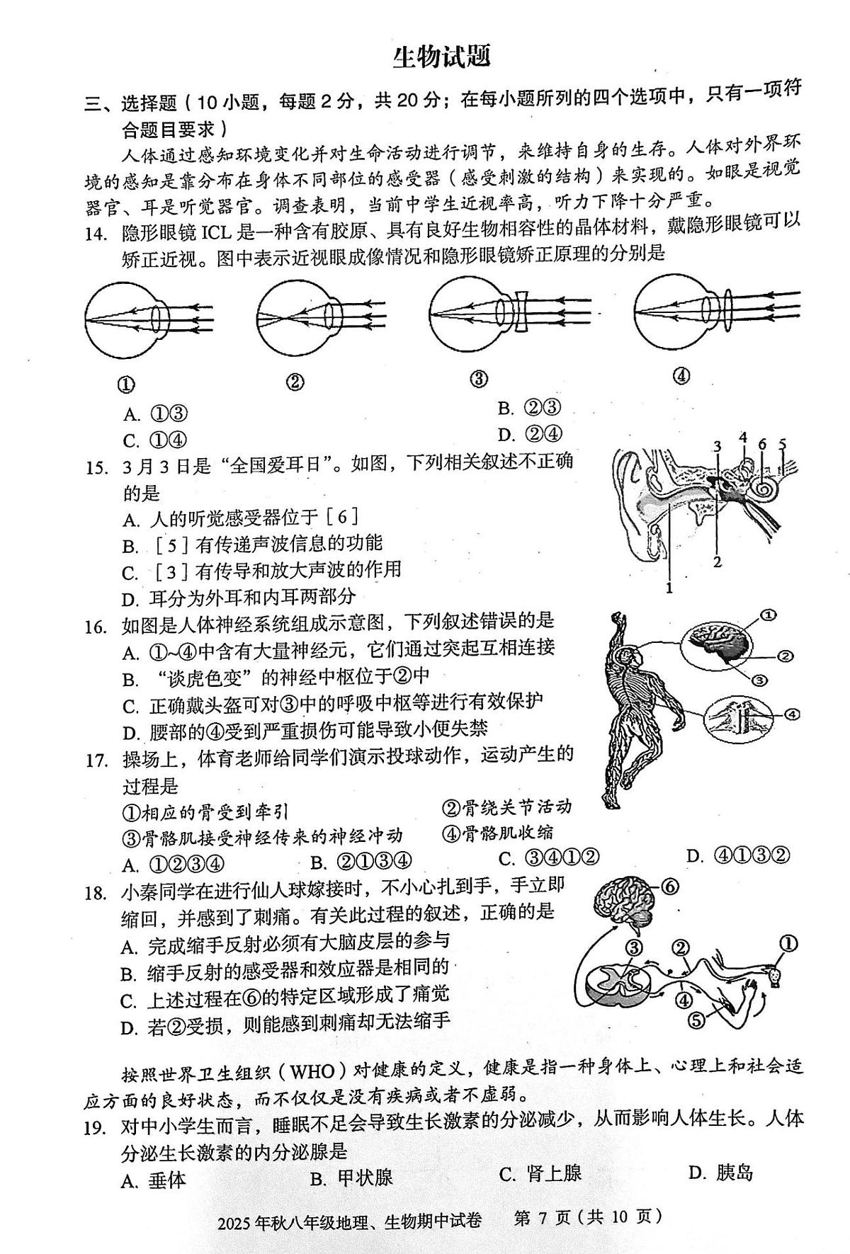 湖北省大冶市2025-2026学年八年级上学期期中生物试题第1页