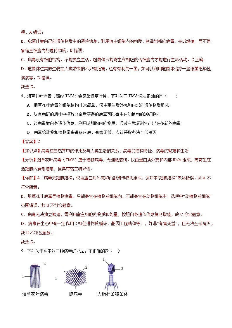第二单元第三章 微生物主要包括病毒、细菌和真菌(专项训练)(解析版)第3页