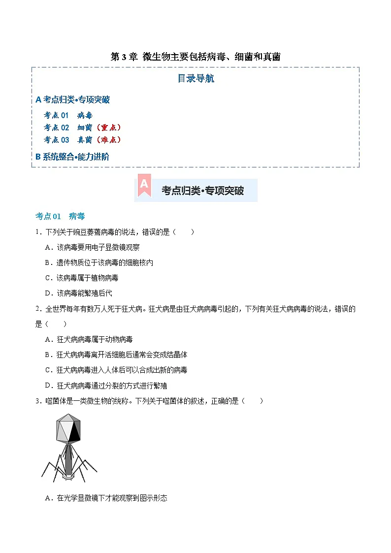 第二单元第三章 微生物主要包括病毒、细菌和真菌(专项训练)(原卷版)第1页