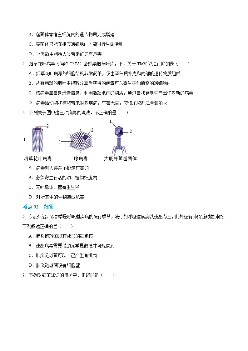 第二单元第三章 微生物主要包括病毒、细菌和真菌(专项训练)(原卷版)第2页