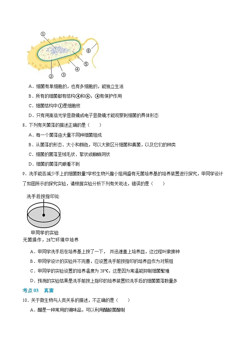 第二单元第三章 微生物主要包括病毒、细菌和真菌(专项训练)(原卷版)第3页