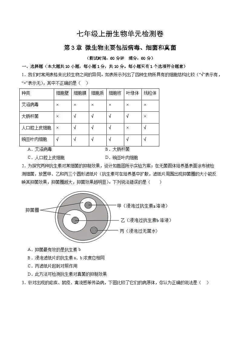 第二单元第三章 微生物主要包括病毒、细菌和真菌(单元测试)(考试版A4)第1页