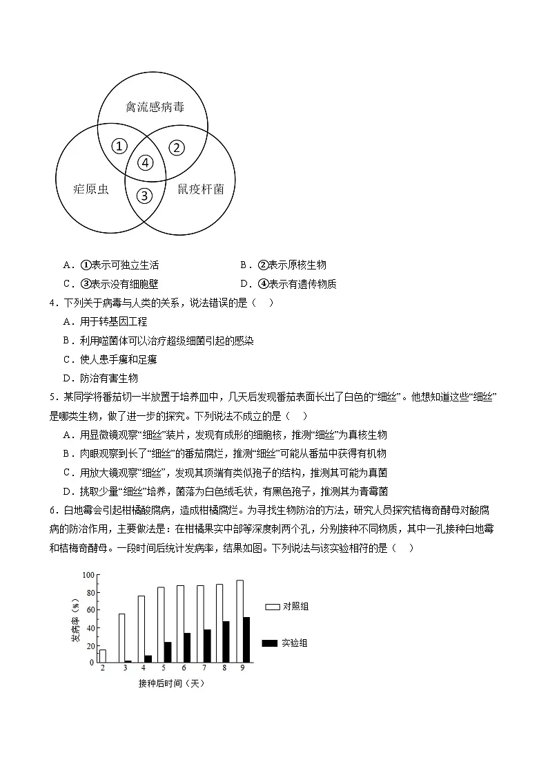 第二单元第三章 微生物主要包括病毒、细菌和真菌(单元测试)(考试版A4)第2页