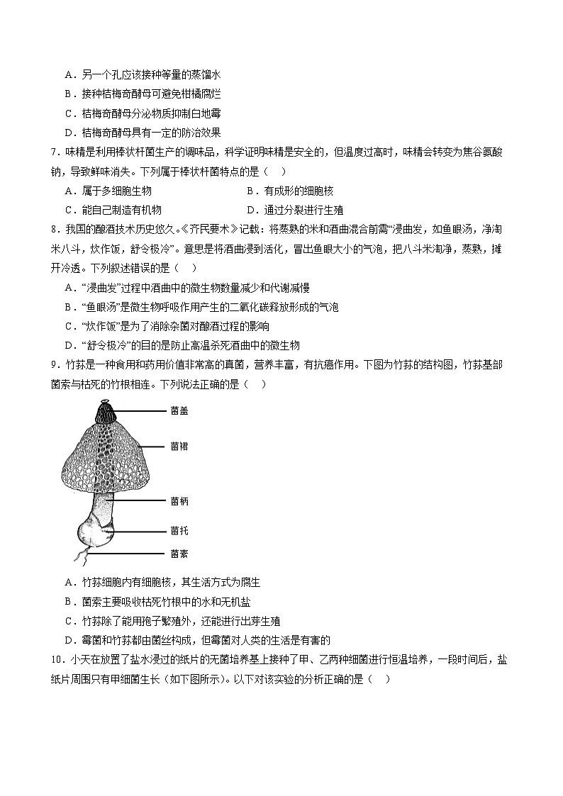 第二单元第三章 微生物主要包括病毒、细菌和真菌(单元测试)(考试版A4)第3页