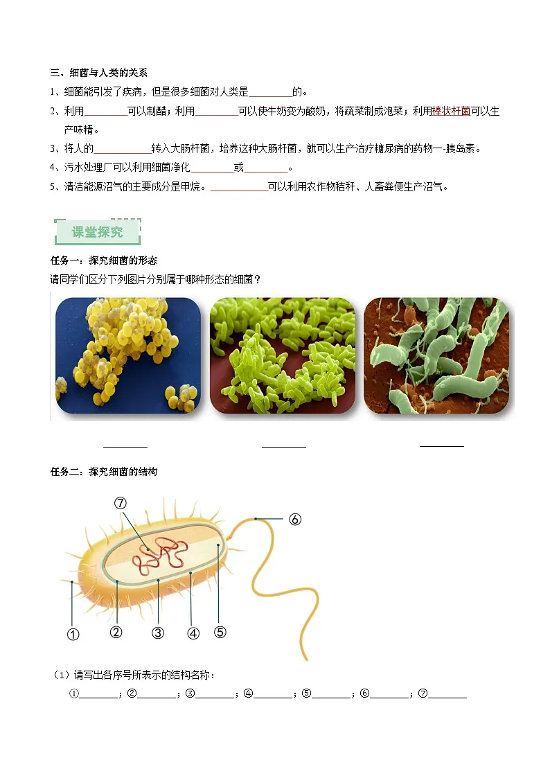 2.5.1真菌、细菌和病毒(第2课时)(原卷版)(导学案)第2页