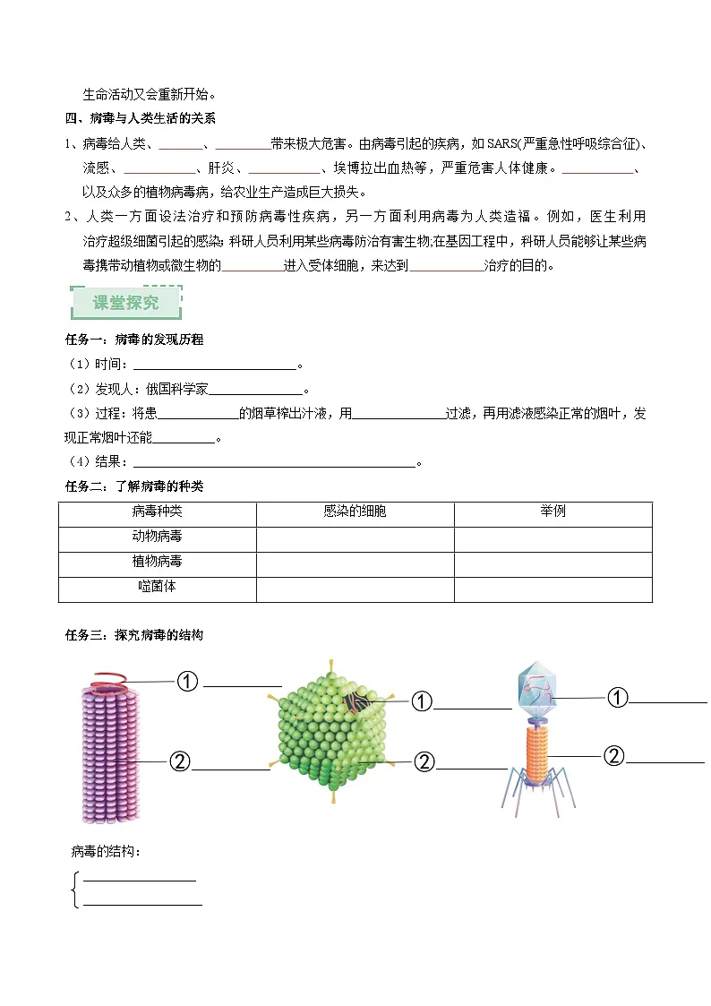 2.5.1真菌、细菌和病毒(第3课时)(原卷版)(导学案)第2页