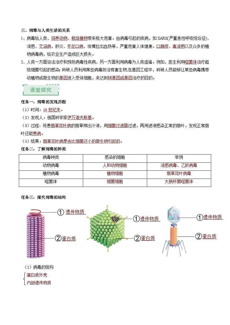 2.5.1真菌、细菌和病毒(第3课时)(解析版)(导学案)第2页