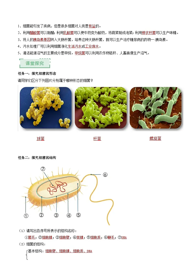 2.5.1真菌、细菌和病毒(第2课时)(解析版)(导学案)第2页