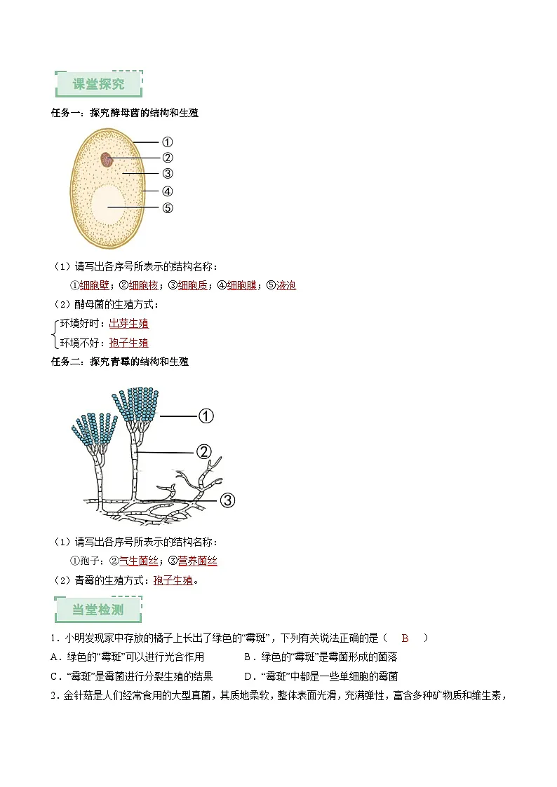 2.5.1真菌、细菌和病毒(第1课时)(解析版)(导学案)第2页