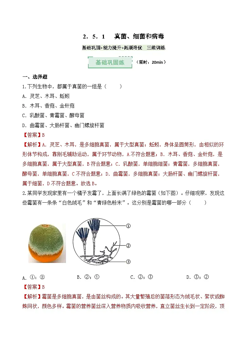 2.5.1真菌、细菌和病毒(分层作业)(解析版)第1页
