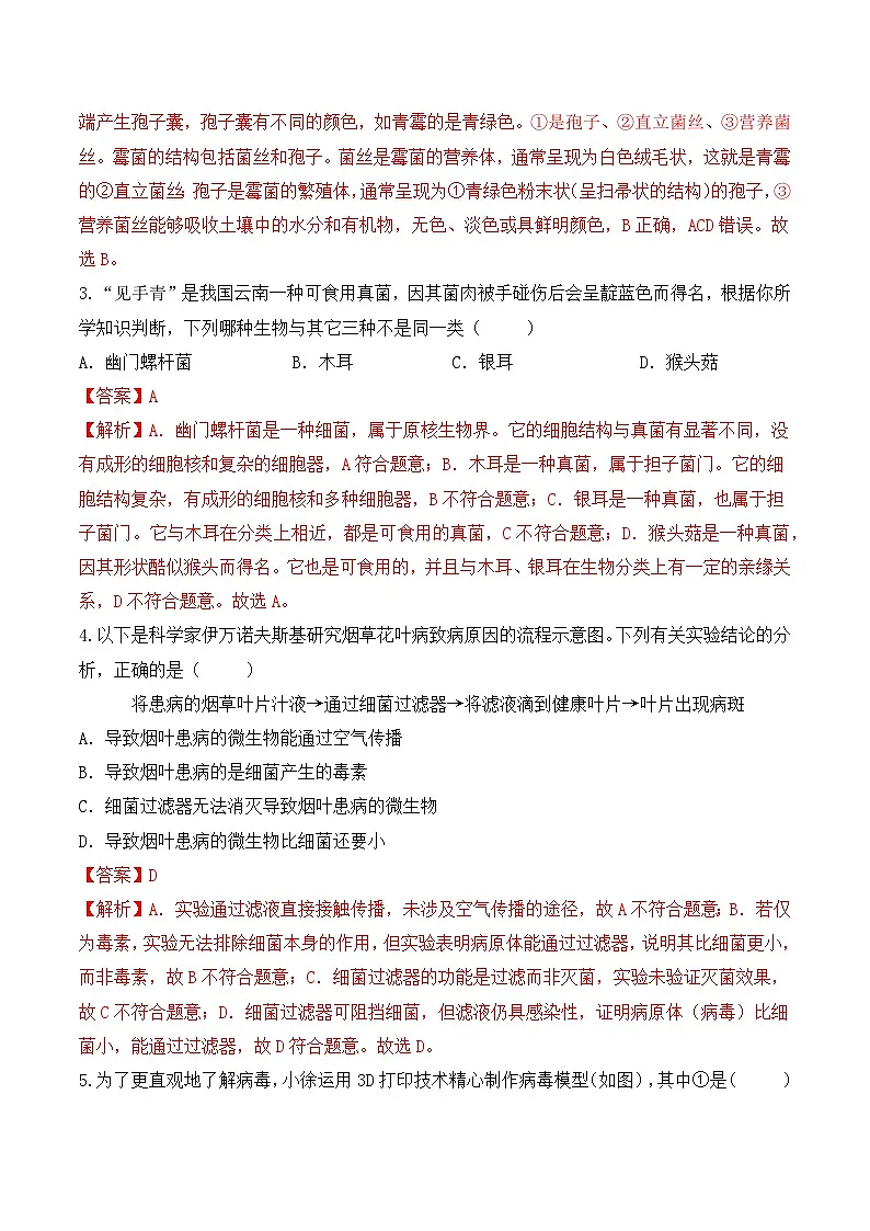 2.5.1真菌、细菌和病毒(分层作业)(解析版)第2页